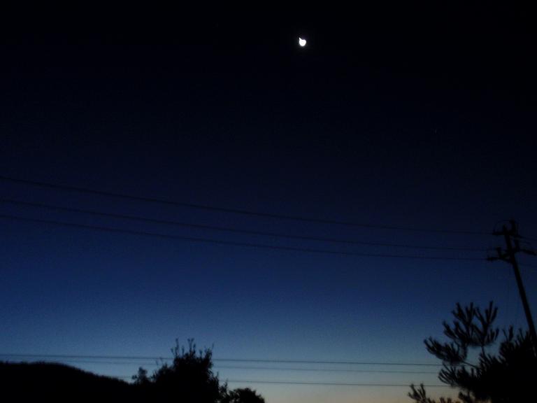 b0053478_234858.jpg