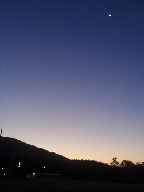 b0053478_2363464.jpg
