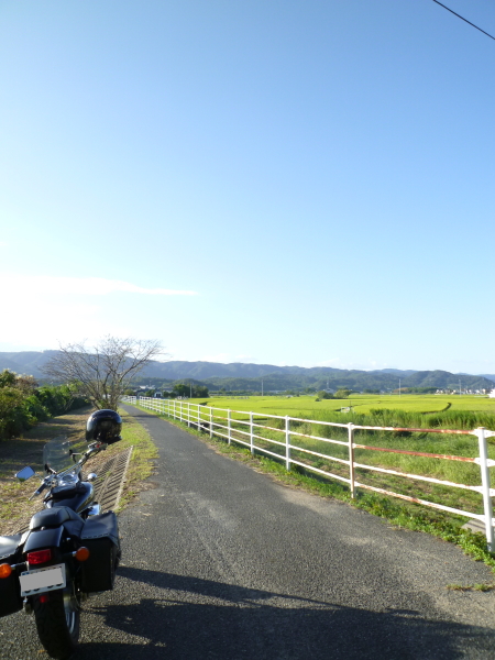 d0179983_20534298.jpg