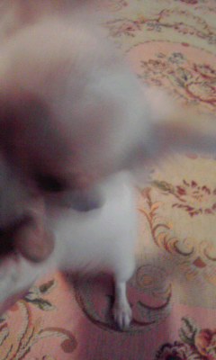 f0016783_2101694.jpg