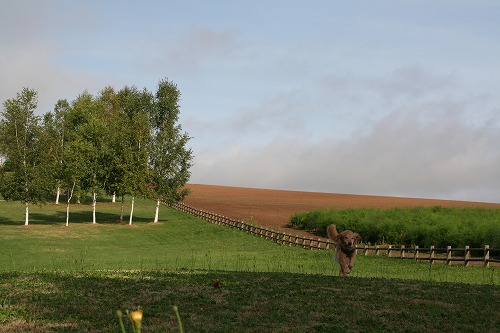 c0172184_946249.jpg