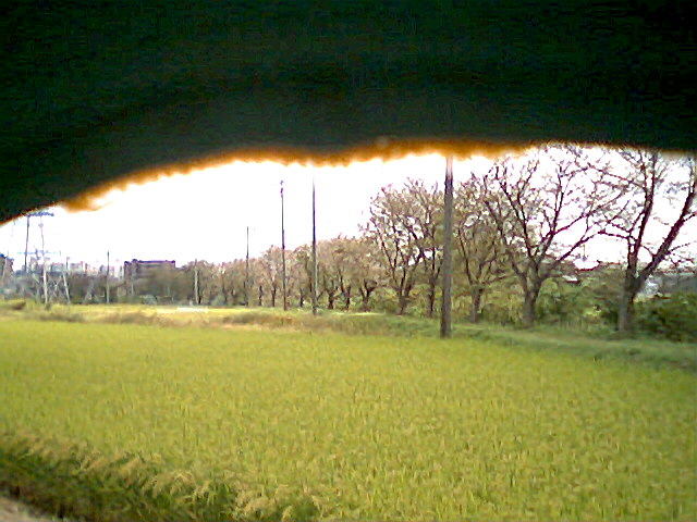 d0007286_1729725.jpg