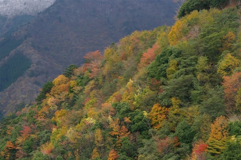 c0208389_11103246.jpg