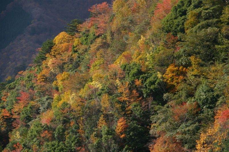 c0208389_1113190.jpg