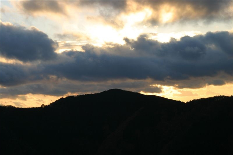 c0208389_17321559.jpg