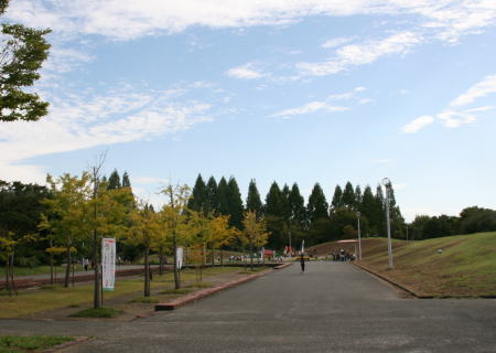 f0085889_20261361.jpg