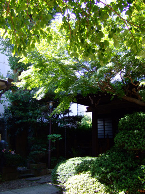 d0143891_950492.jpg