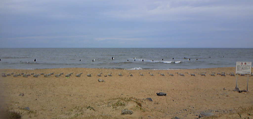 e0197891_1065114.jpg