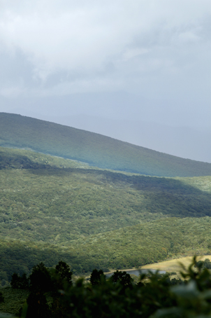 c0096393_22141234.jpg