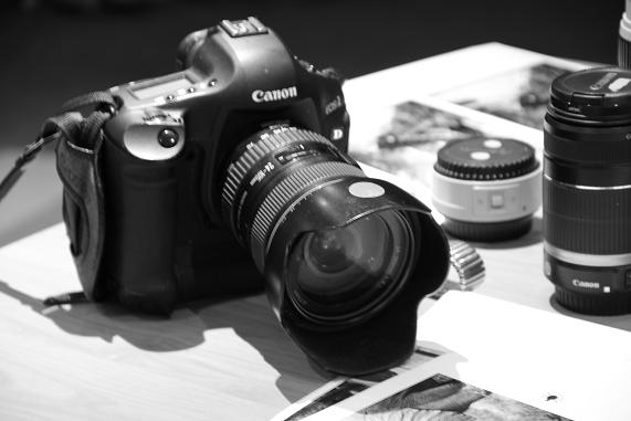 d0162693_254630.jpg