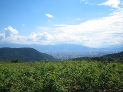 b0007895_13422451.jpg