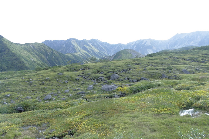 f0219195_15262740.jpg