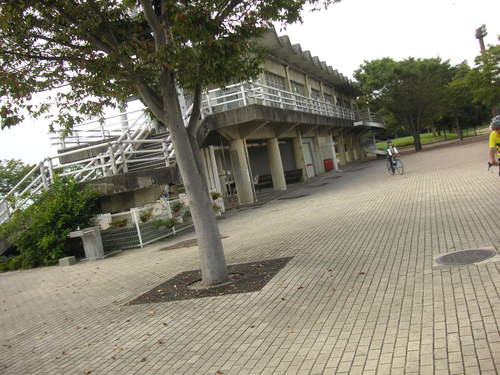 d0115997_13514916.jpg