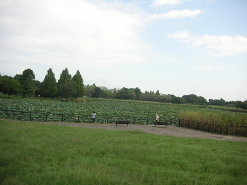 d0115997_13515921.jpg