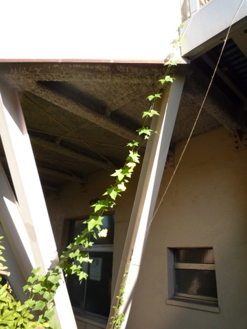 b0171498_11332421.jpg