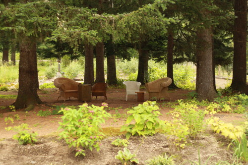 c0190900_20525115.jpg