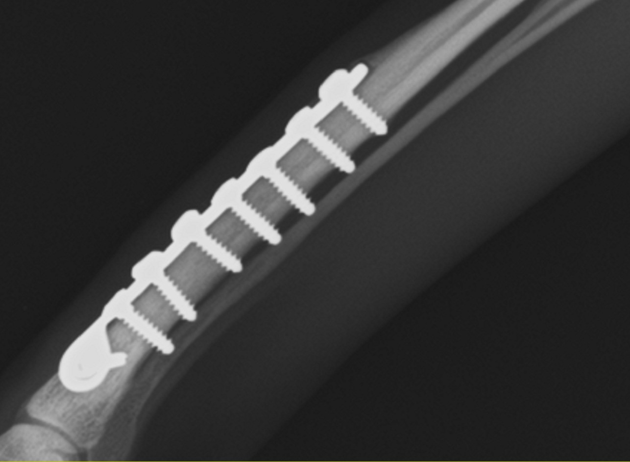 f0187704_132352.jpg