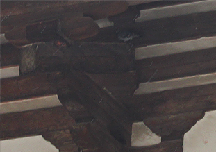 c0055305_181491.jpg