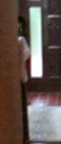 e0103408_12103584.gif
