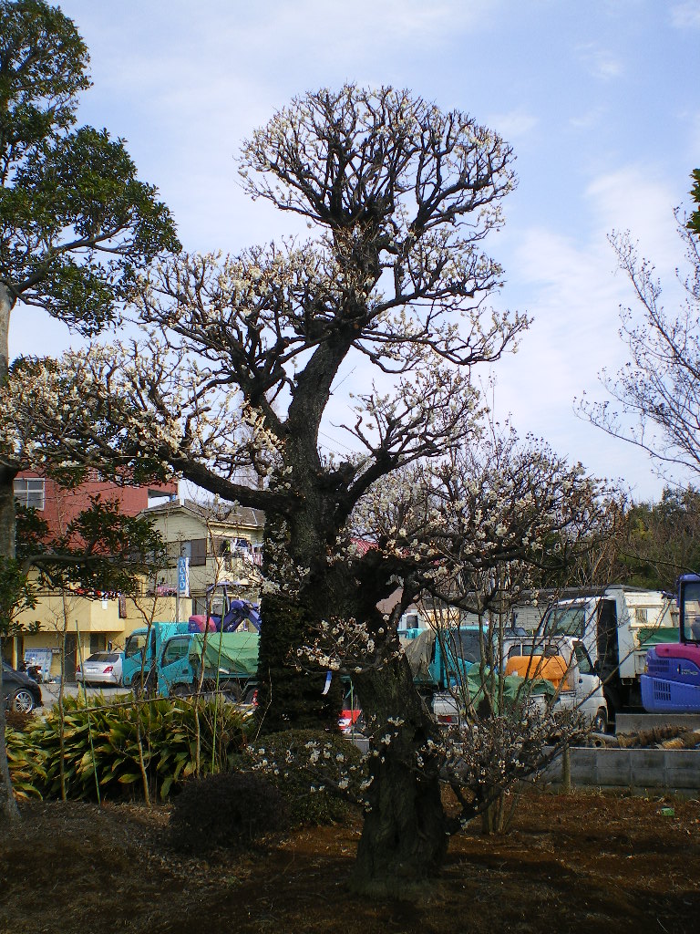 e0202109_2221690.jpg