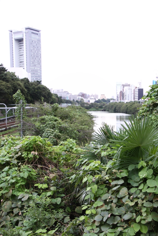 b0165522_18145691.jpg