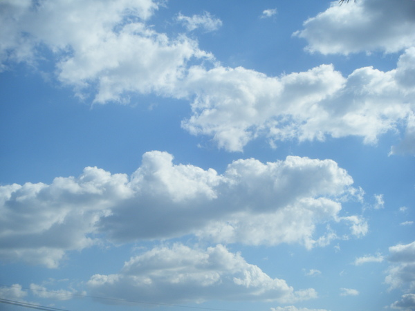 e0024126_2112052.jpg