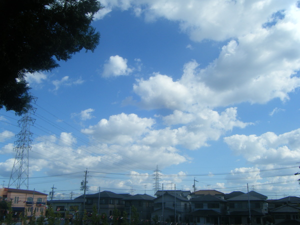 e0024126_21121033.jpg