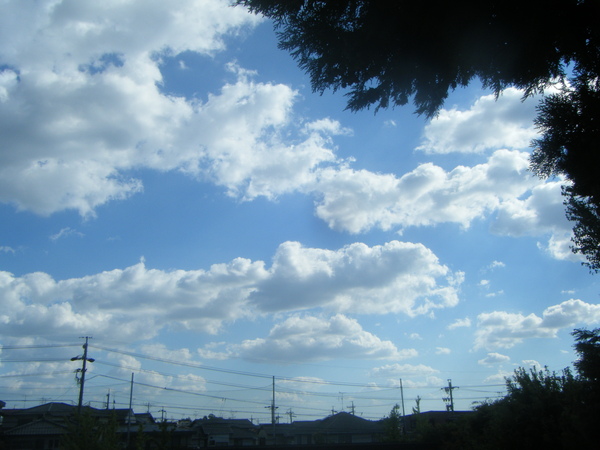 e0024126_21122372.jpg
