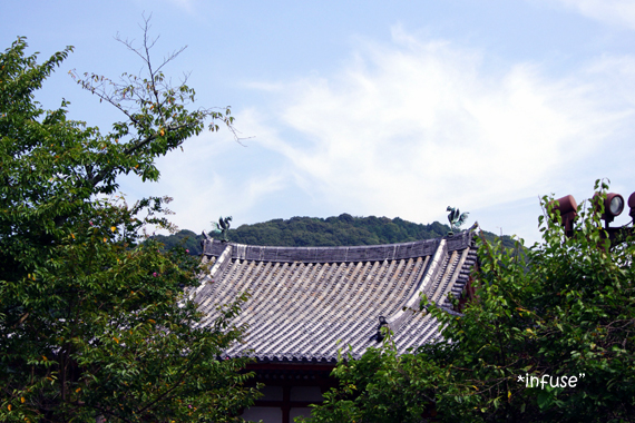 a0148928_13422833.jpg