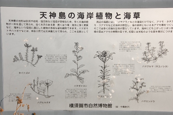 f0095128_19194498.jpg