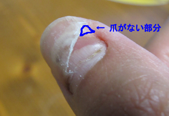 e0138031_7332547.jpg