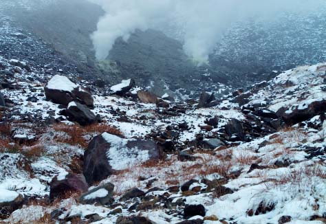 c0184737_21574067.jpg