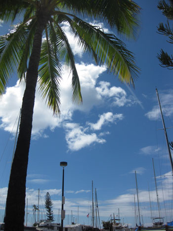 c0196240_13571444.jpg