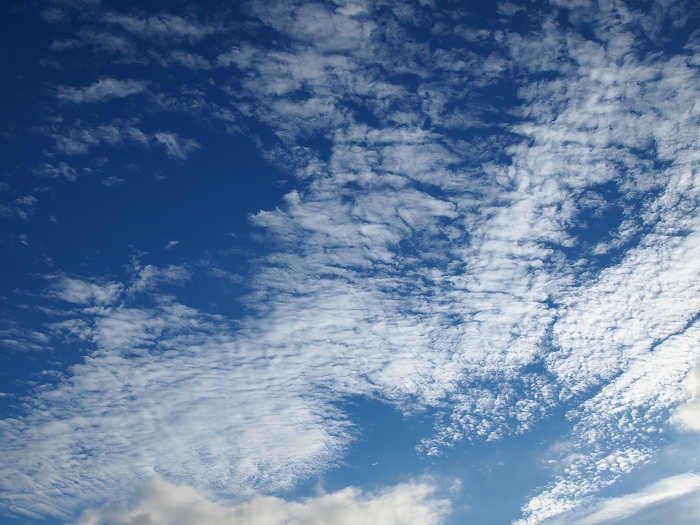 a0146442_733558.jpg
