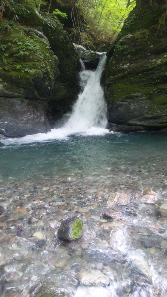 b0139547_2967.jpg