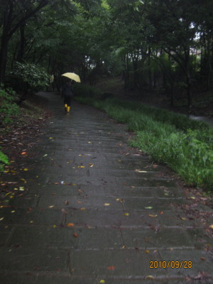 e0121548_1914319.jpg