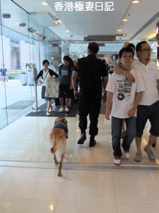 f0190653_19125298.gif