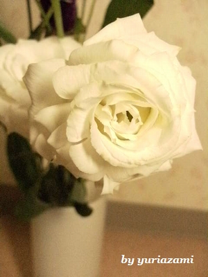 d0145759_18534012.jpg