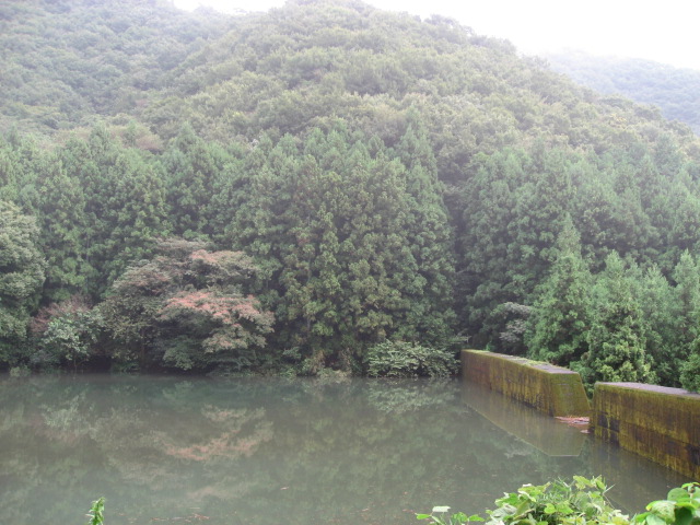 a0120264_16543246.jpg