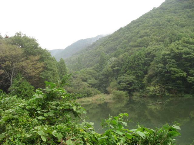a0120264_16553783.jpg