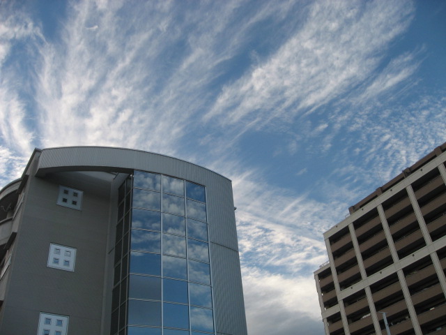 a0120264_16571794.jpg