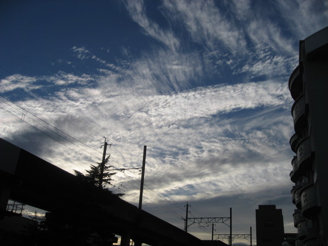 a0120264_16573465.jpg