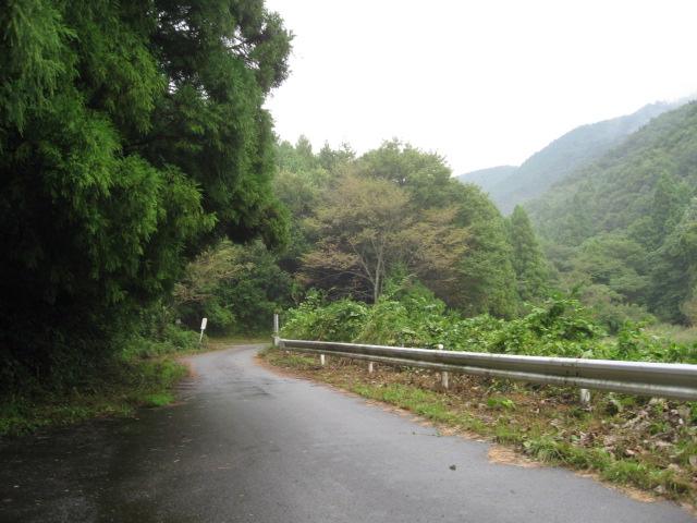 a0120264_1657865.jpg