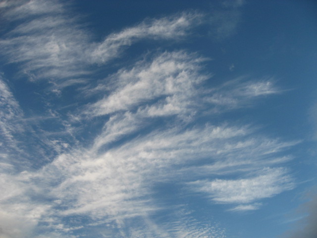 a0120264_16584579.jpg
