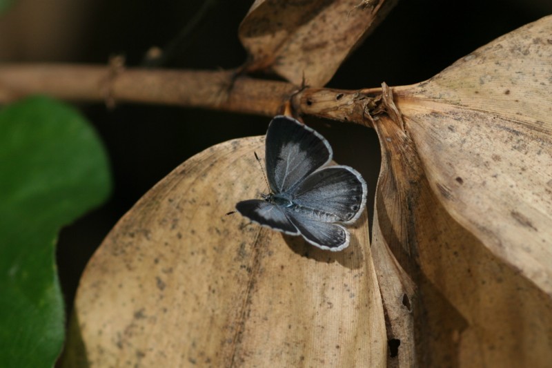 b0088772_21405835.jpg