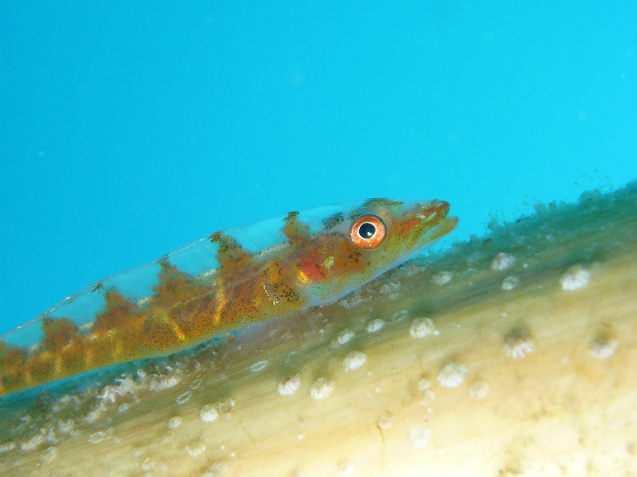 c0181073_1846337.jpg