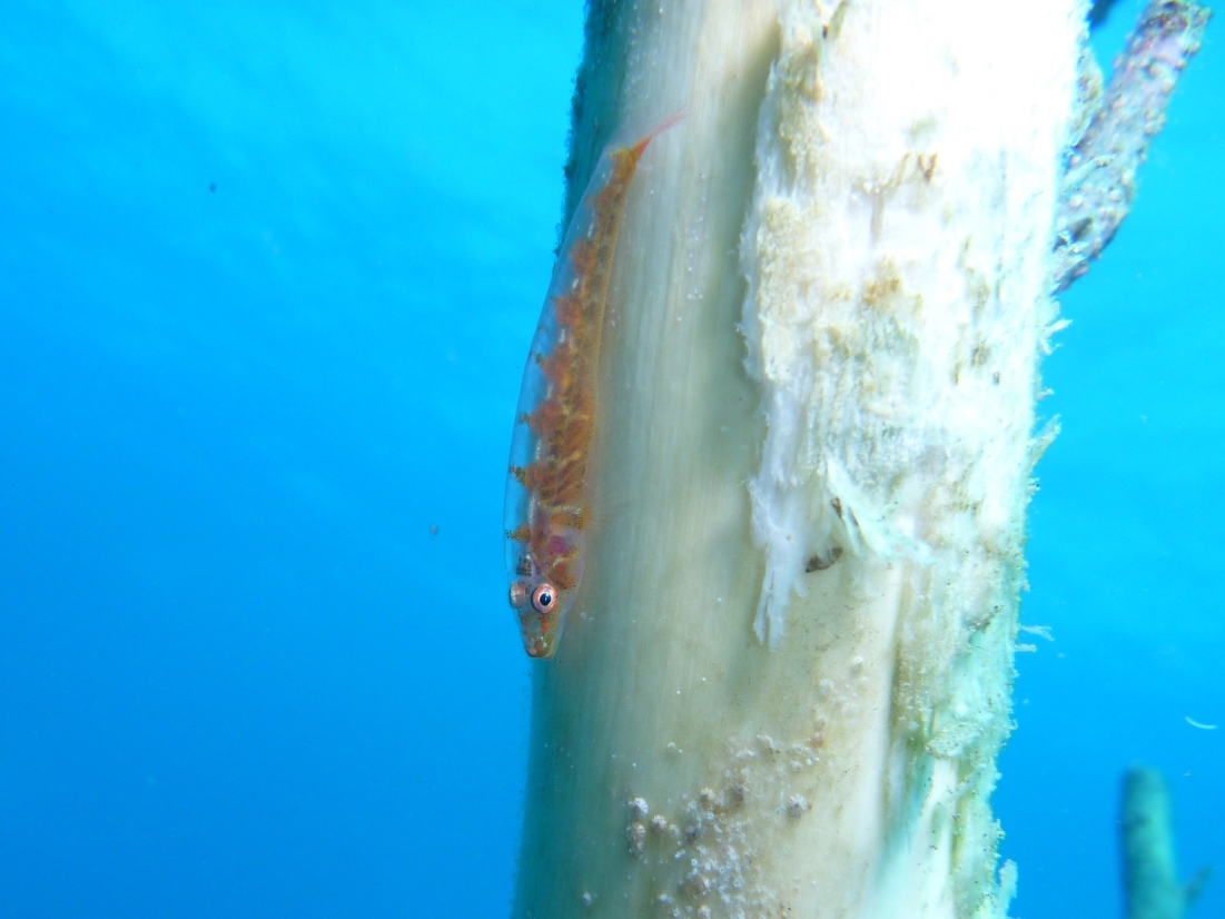 c0181073_7151710.jpg