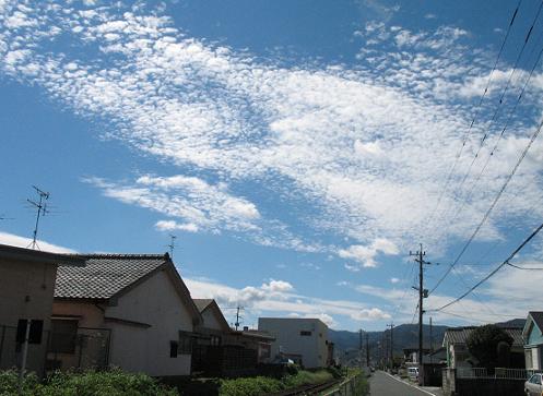 e0130185_1611624.jpg