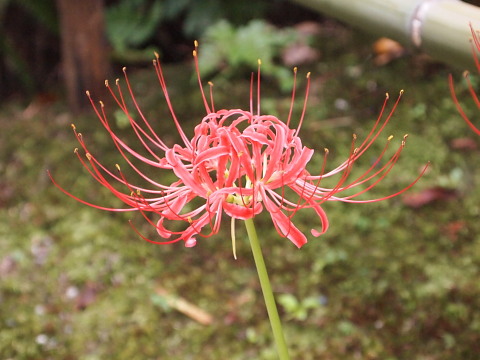 e0004090_22263241.jpg