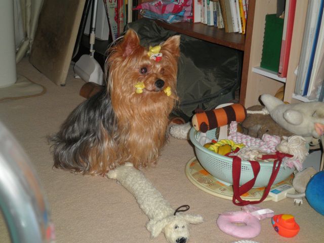 f0130894_21455853.jpg